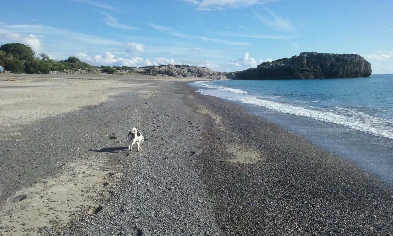 Willa Il Nido Delle Gazze Marina di Camerota Zewnętrze zdjęcie